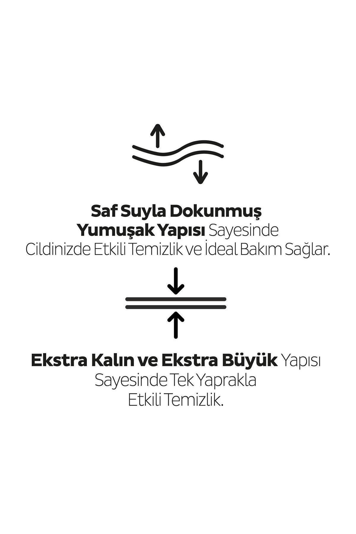 Sleepy Xl Lavanta Kokulu Bebek Vücut Temizleme Havlusu 6X50(300 Yaprak) fotoğrafı 4 (önizleme)