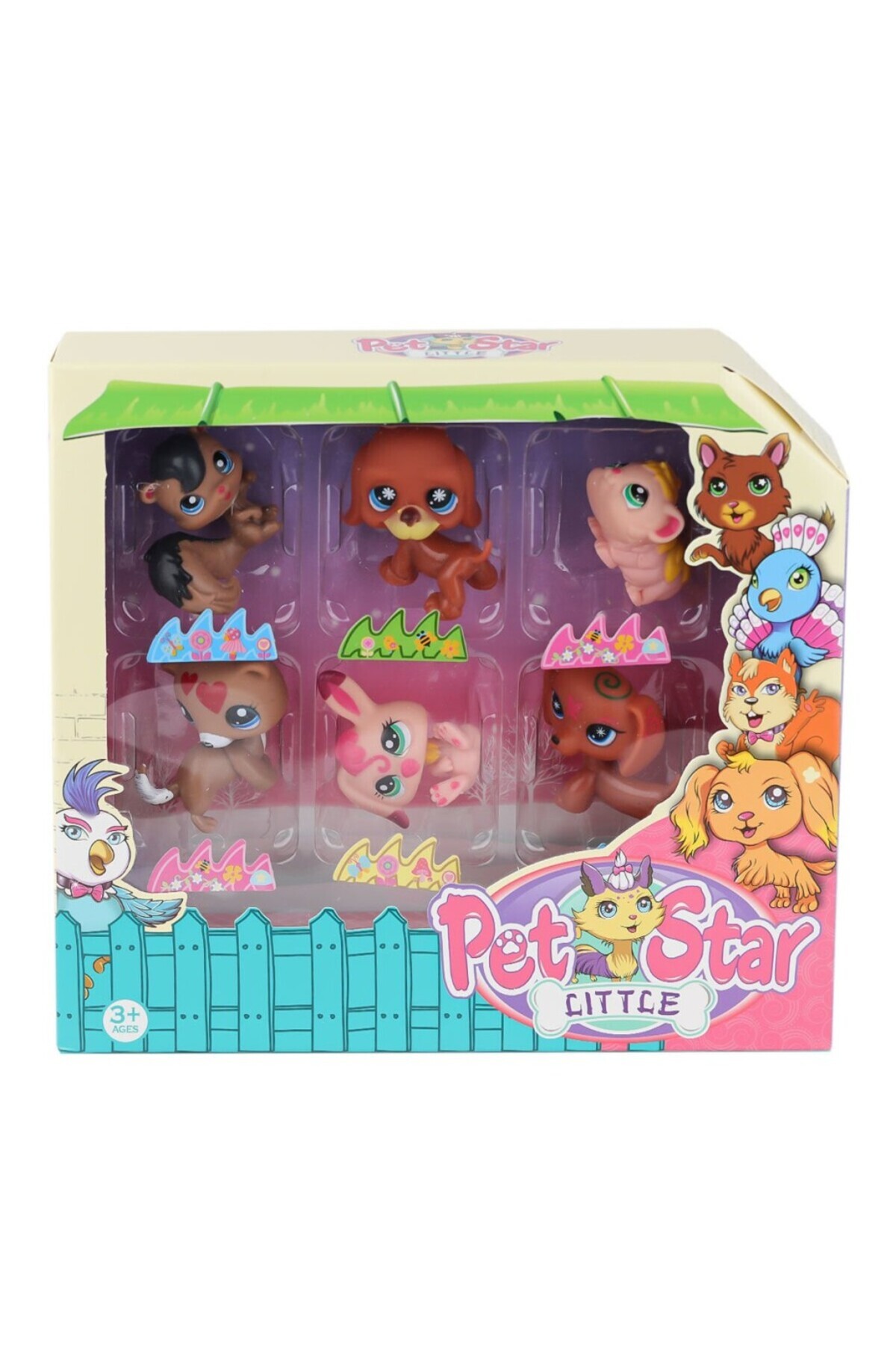 BURCU MODA KZL-3046A2 Pet Star 6'lı Miniş Seti -Kızılkaya Oyuncak