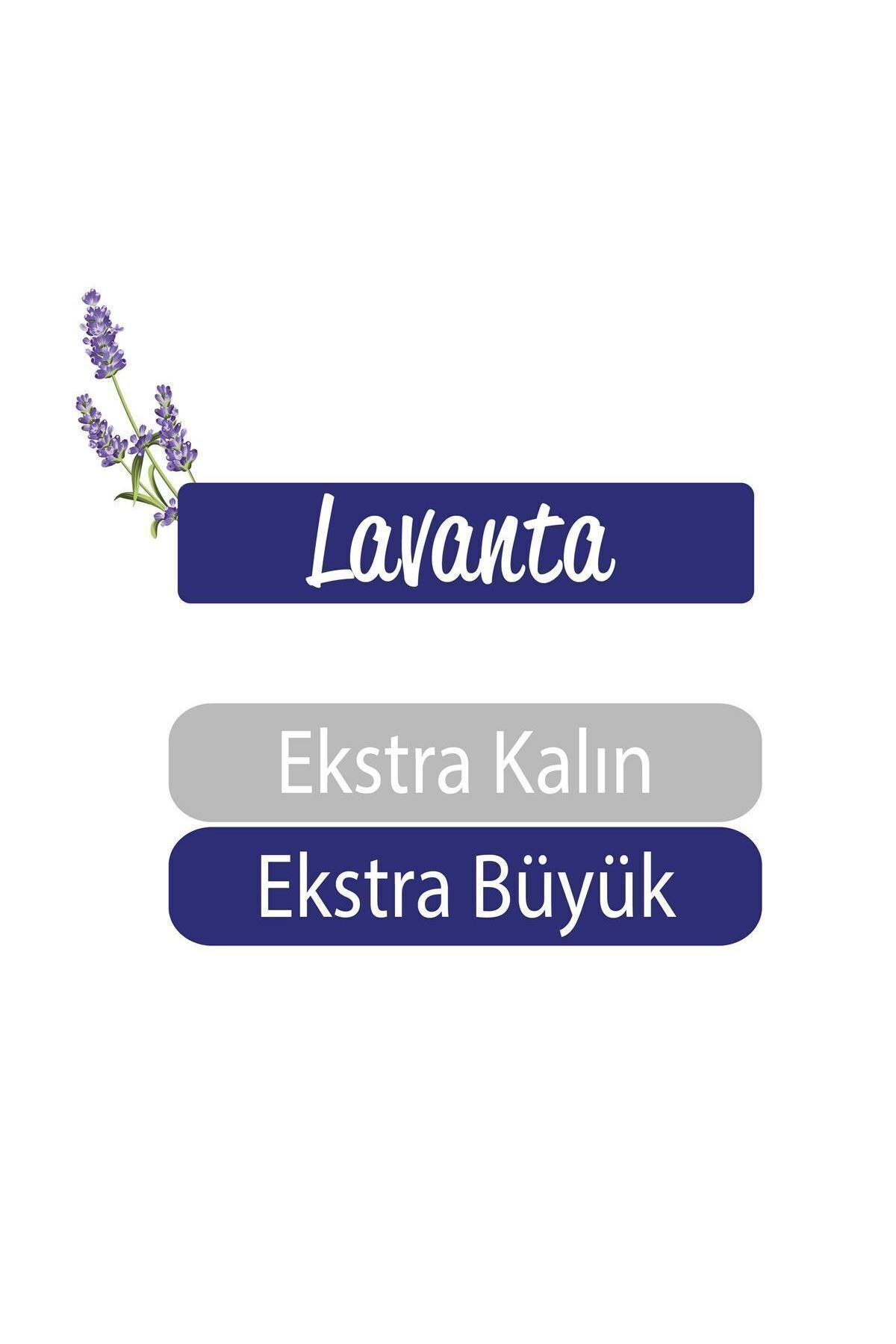 Sleepy Xl Lavanta Kokulu Bebek Vücut Temizleme Havlusu 6X50(300 Yaprak) fotoğrafı 5 (önizleme)