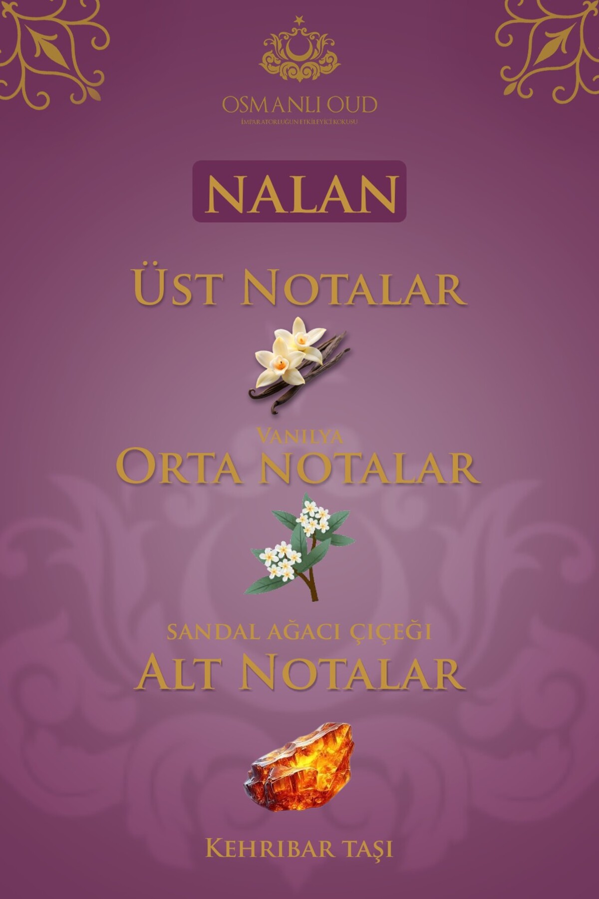 عطر زنانه | عثمانلی عود Osmanlı Oud 4442 - تصویر 6