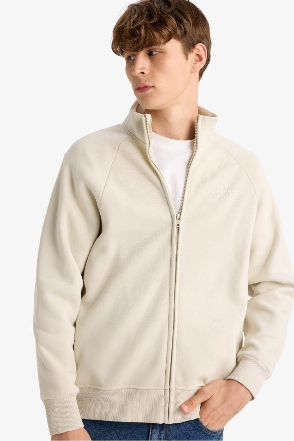 DeFacto Boxy Fit Dik Yaka Baskılı İçi Yumuşak Tüylü Cepli Fermuarlı Sweatshirt E1367AX25SP görsel 4