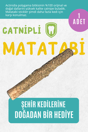 pawdaz Catnipli Matatabi Stick (1 ADET) - Diş Temizlemeye Ve Stres Gidermeye ...