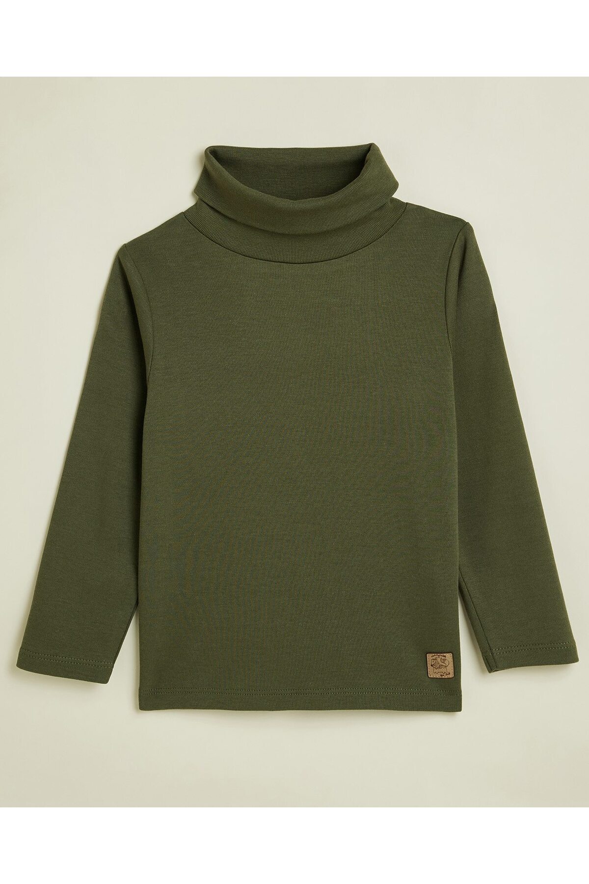 R&B Solid T-Shirt with Turtleneck and Long Sleeves