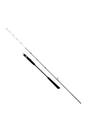 SEA HORSE Star Slow Jigging 1,68 M 20-250 Gr