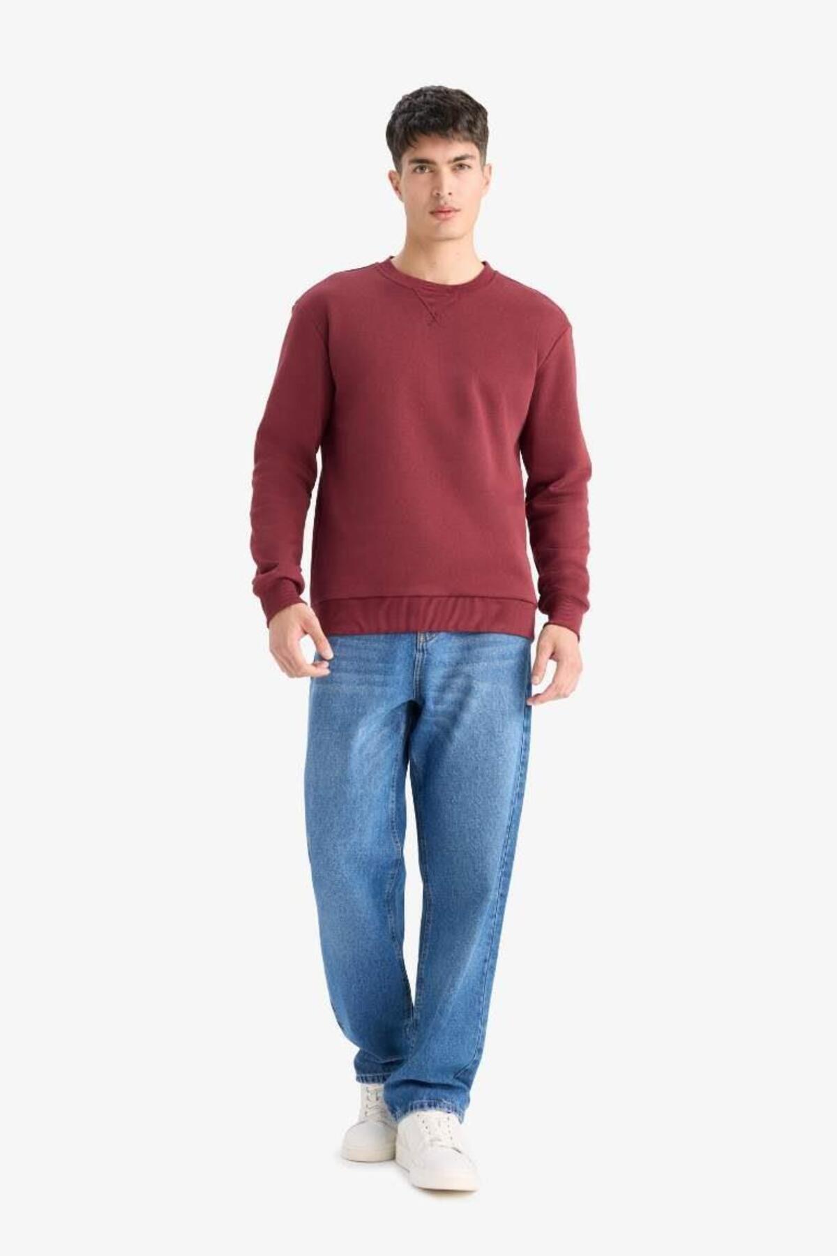 DeFacto Regular Fit Bisiklet Yaka Basic Düz Kalın Sweatshirt T3777AZ25AU görsel 2