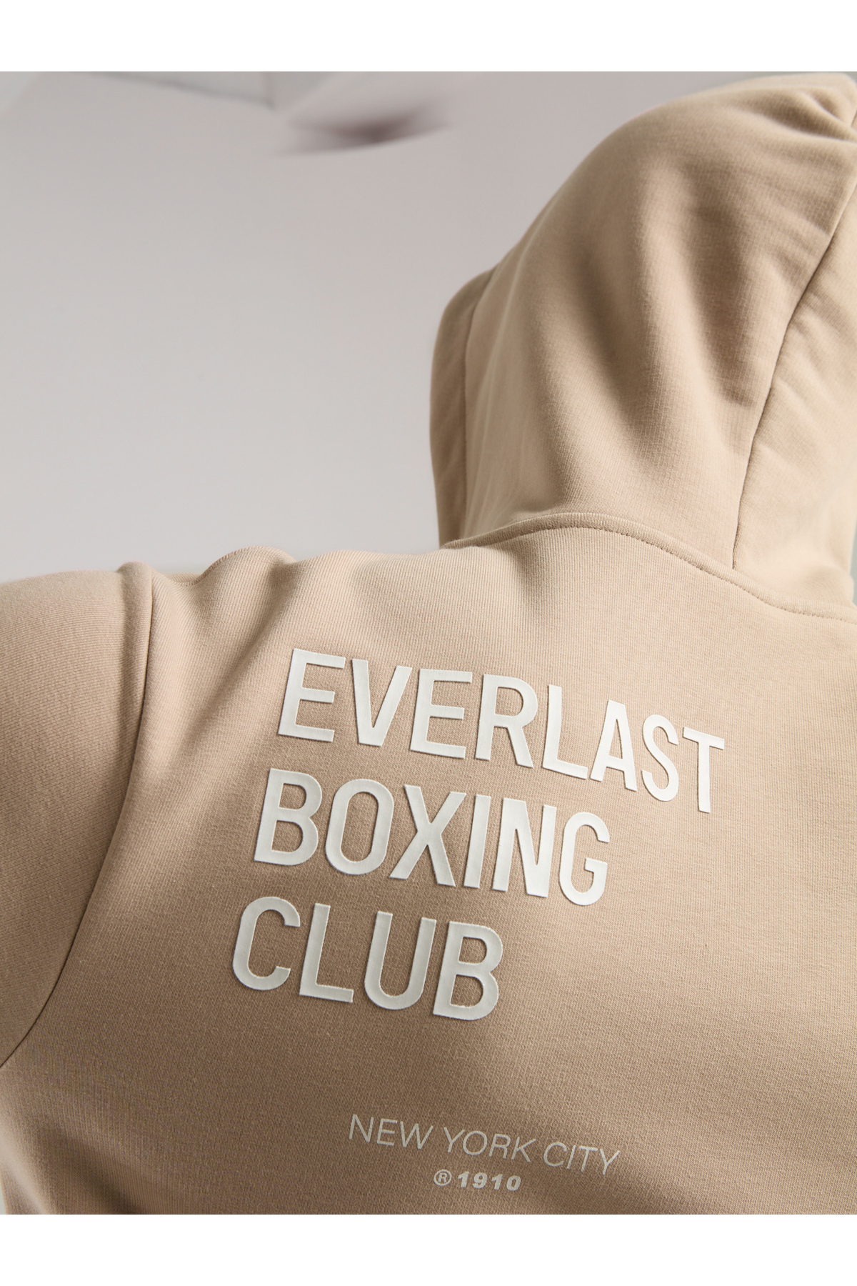 EVERLAST Boxing Club Regular Kum Erkek Full Zip Kapüşonlu Sweatshirt görsel 6