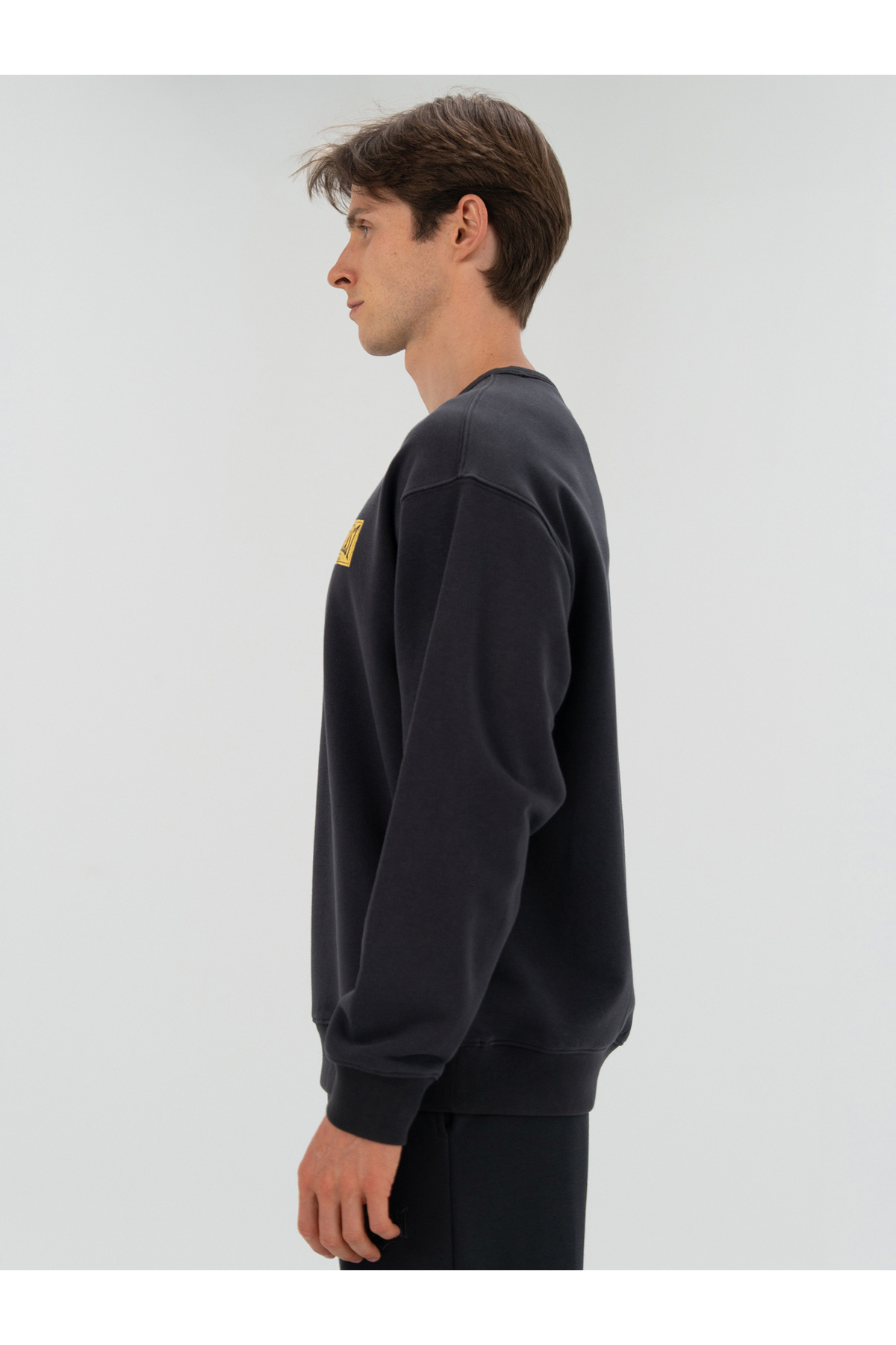 EVERLAST 1910 Classic Comfort Antrasit Erkek Sweatshirt görsel 3
