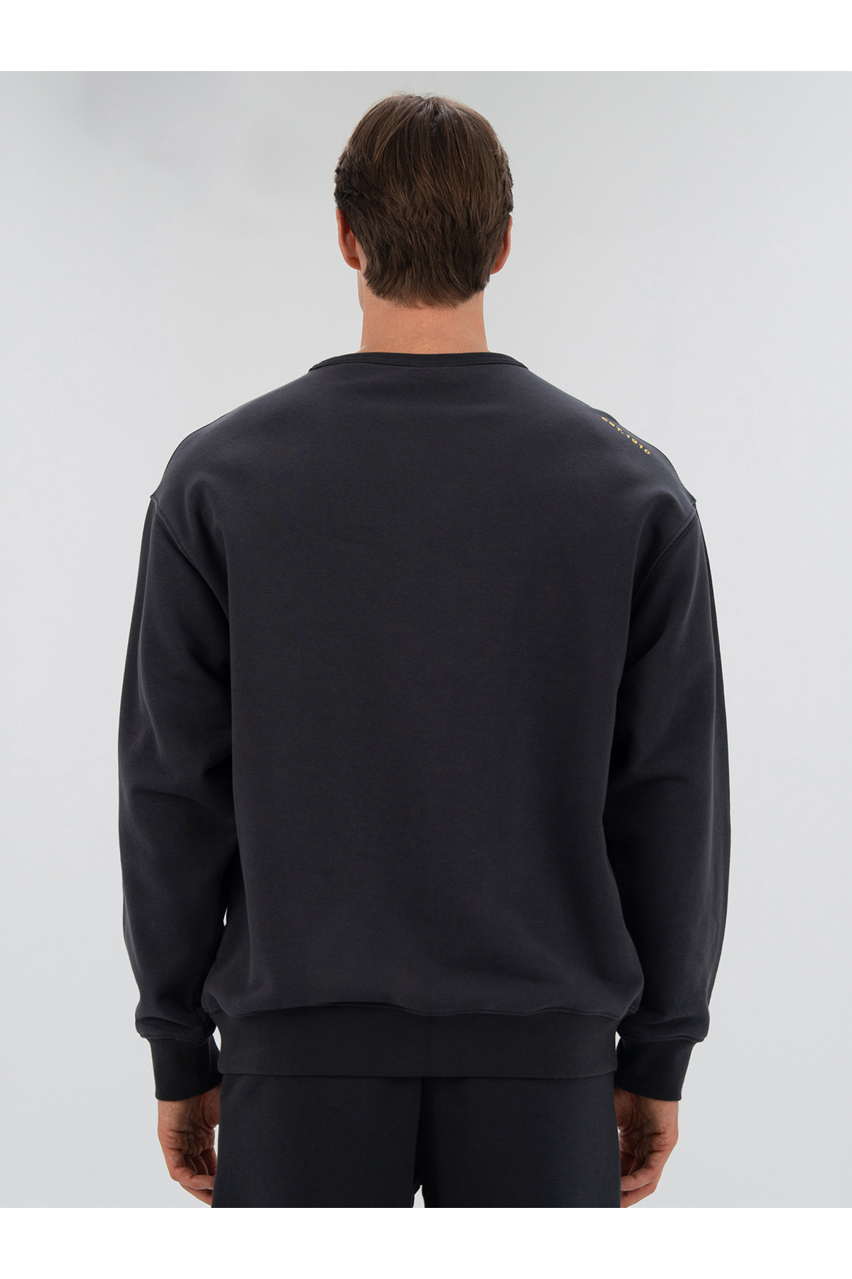 EVERLAST 1910 Classic Comfort Antrasit Erkek Sweatshirt görsel 5