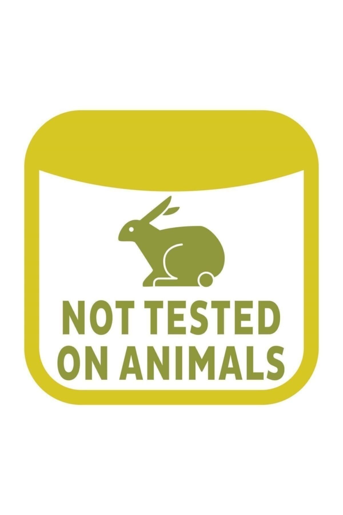 Baby Turco Turco Baby Islak Havlu 90'lı Zeytinyağlı X3 Adet fotoğrafı 7 (önizleme)