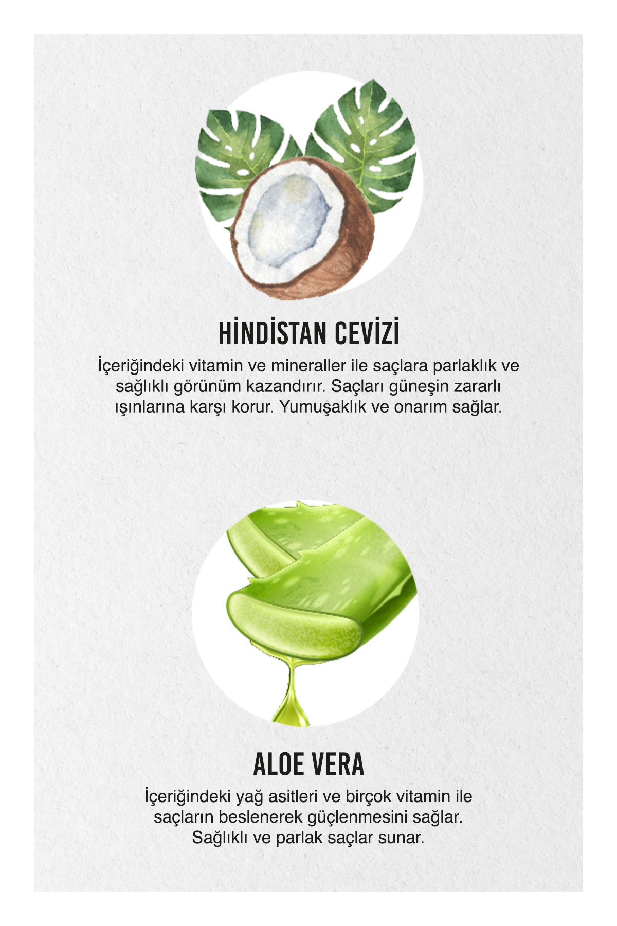 Saç Maskesi 50 Ml Sachet Pure Coconut ve Aloe Vera*24 — URC5496 — تصویر 5 از 7