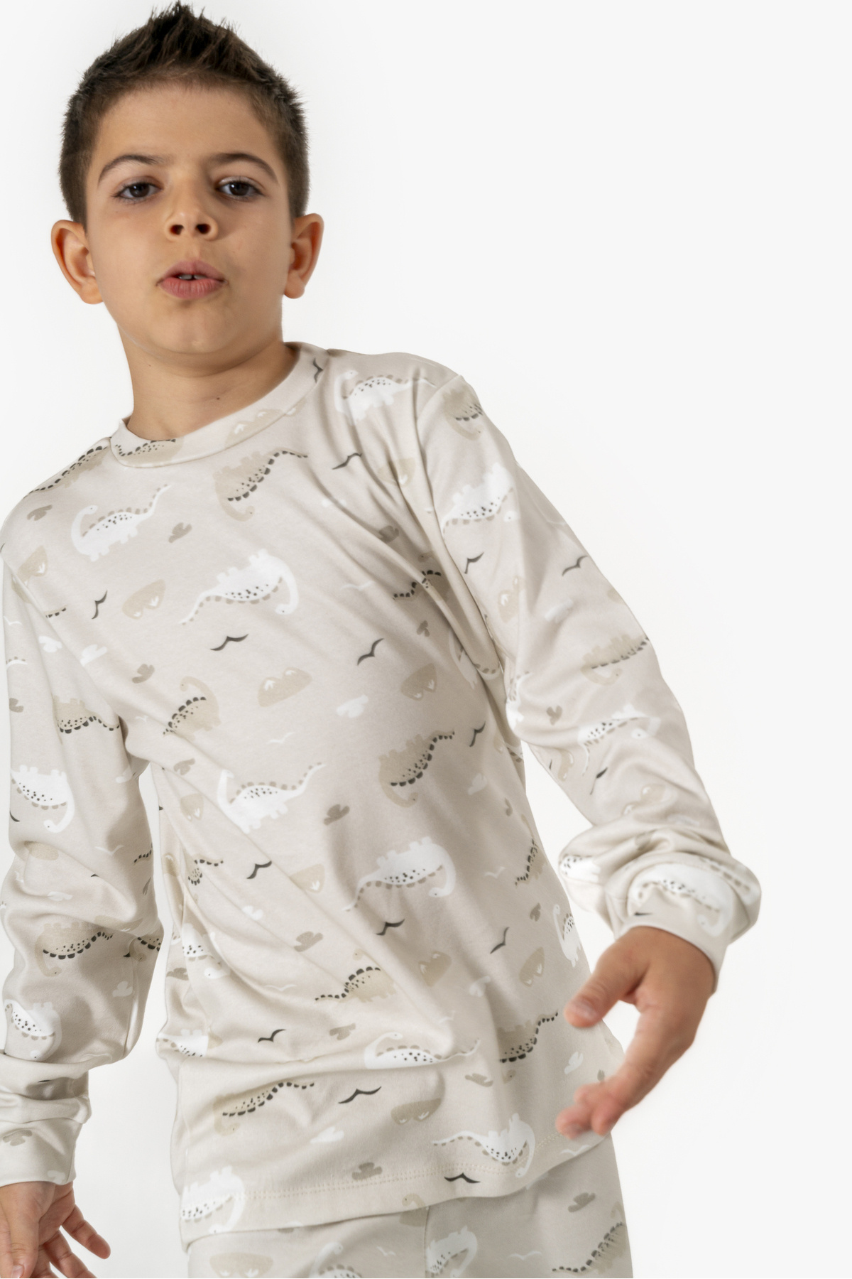 Irmak kids Dinazor Desenli Yumuşak Penye Mevsimlik Erkek Çocuk Pijama Takımı