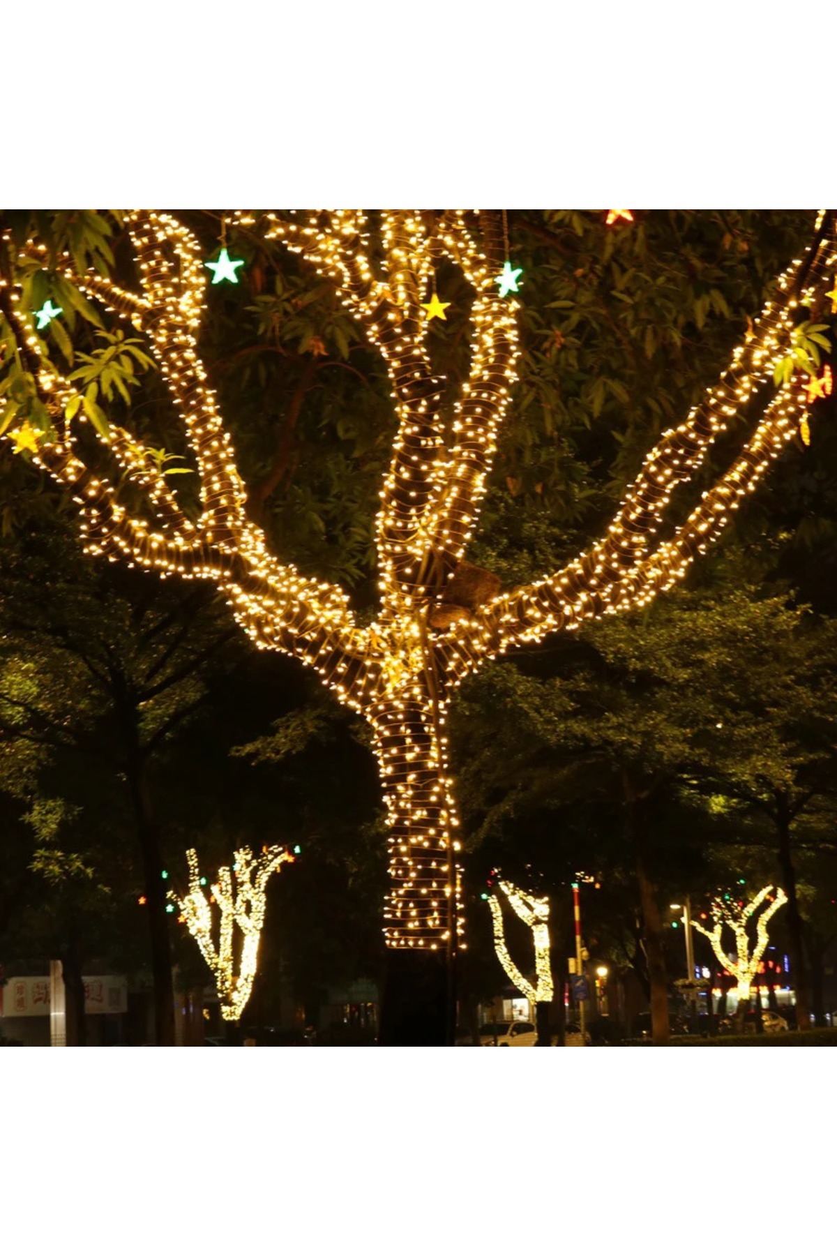 Promagg Instalație liniară de Crăciun, 100 m, 480 LED-uri, pentru utilizare în exterior și interior