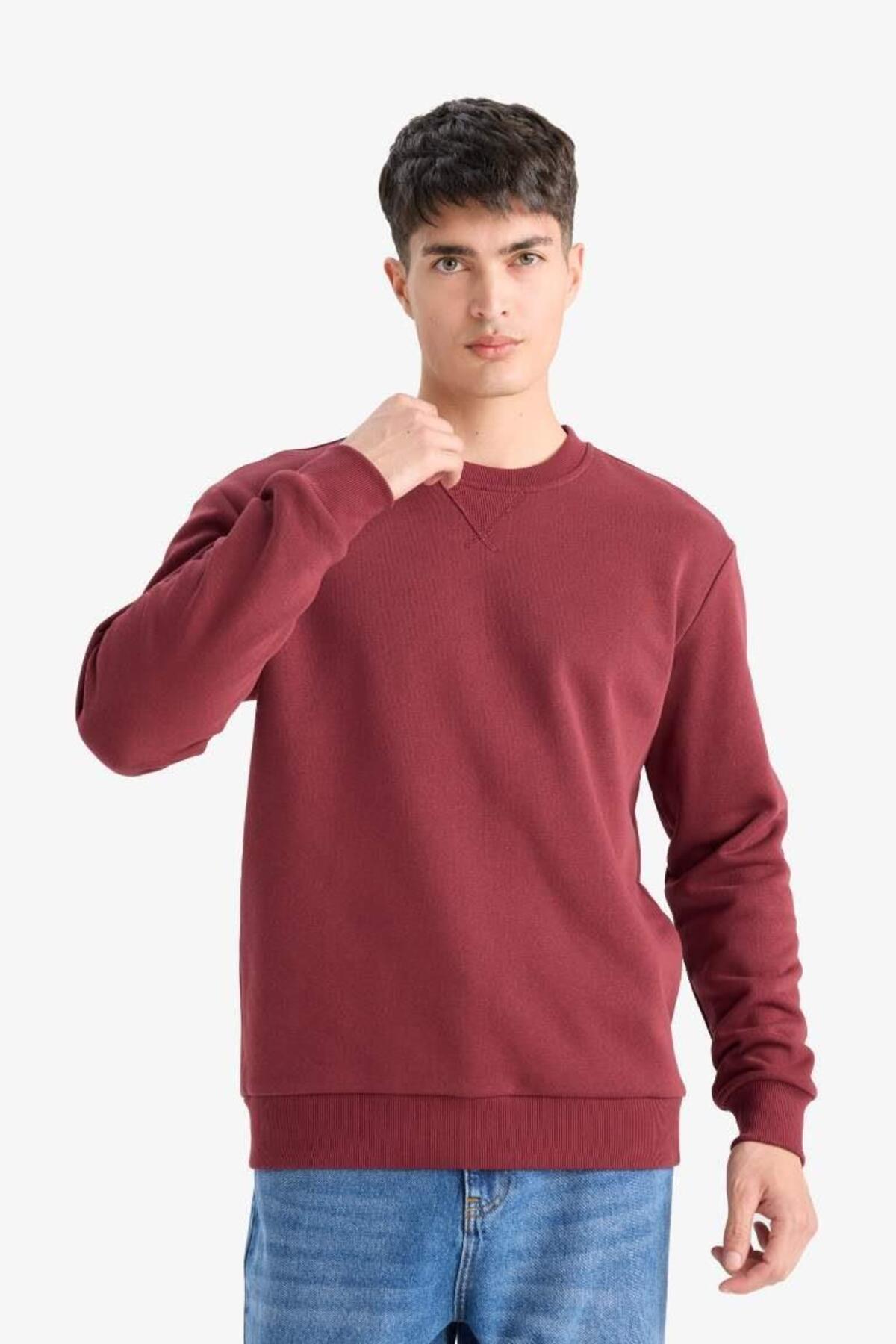 DeFacto Regular Fit Bisiklet Yaka Basic Düz Kalın Sweatshirt T3777AZ25AU görsel 3