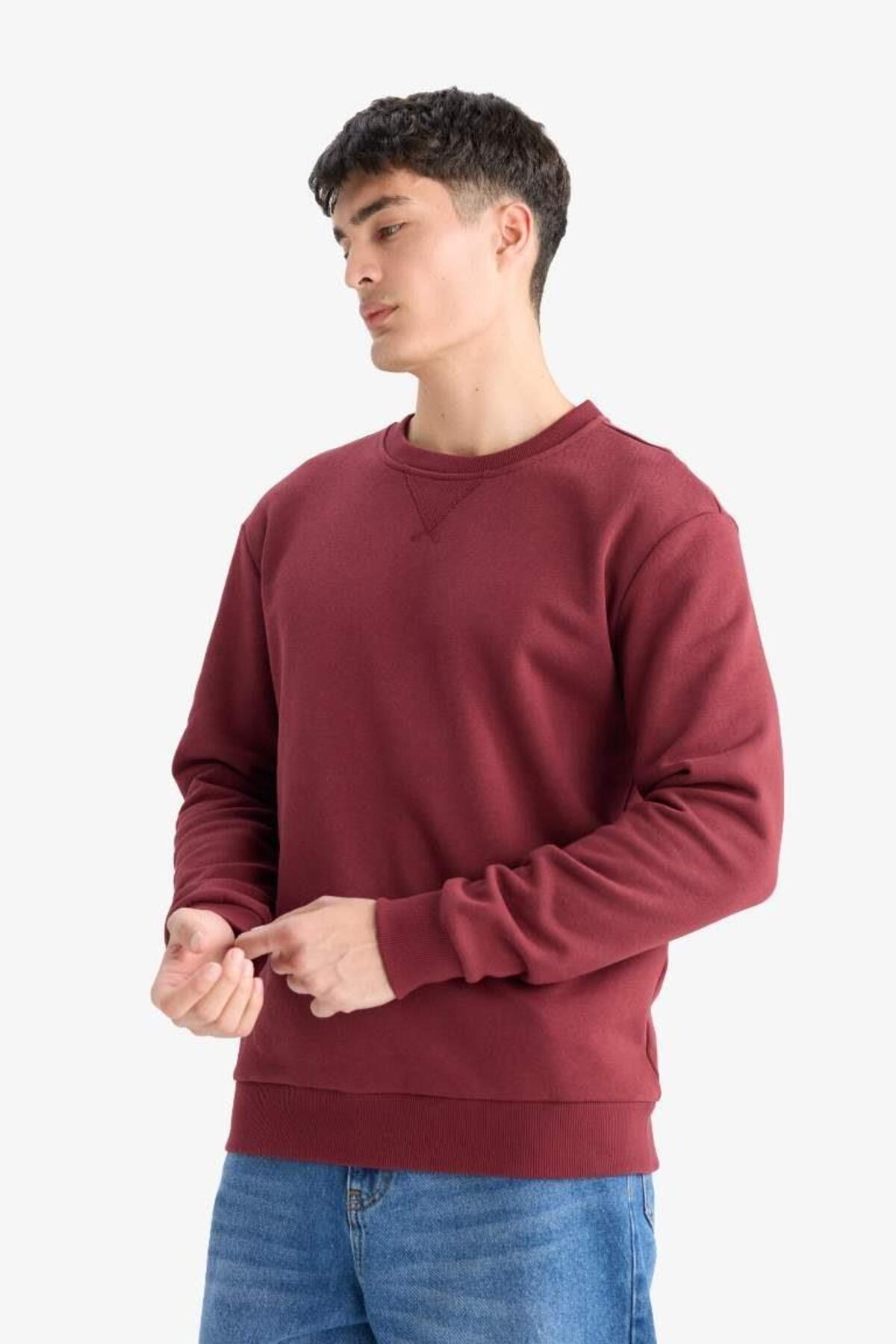 DeFacto Regular Fit Bisiklet Yaka Basic Düz Kalın Sweatshirt T3777AZ25AU görsel 4