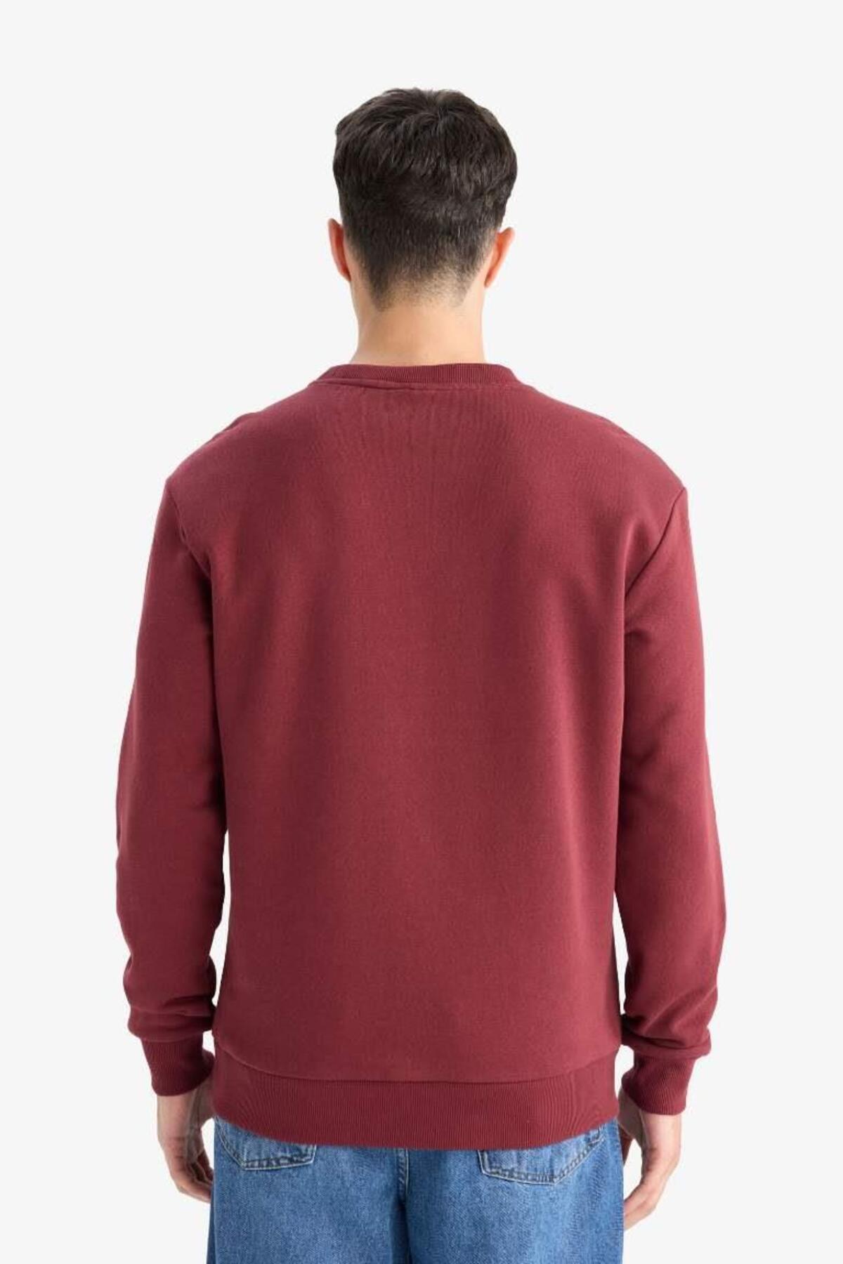 DeFacto Regular Fit Bisiklet Yaka Basic Düz Kalın Sweatshirt T3777AZ25AU görsel 6