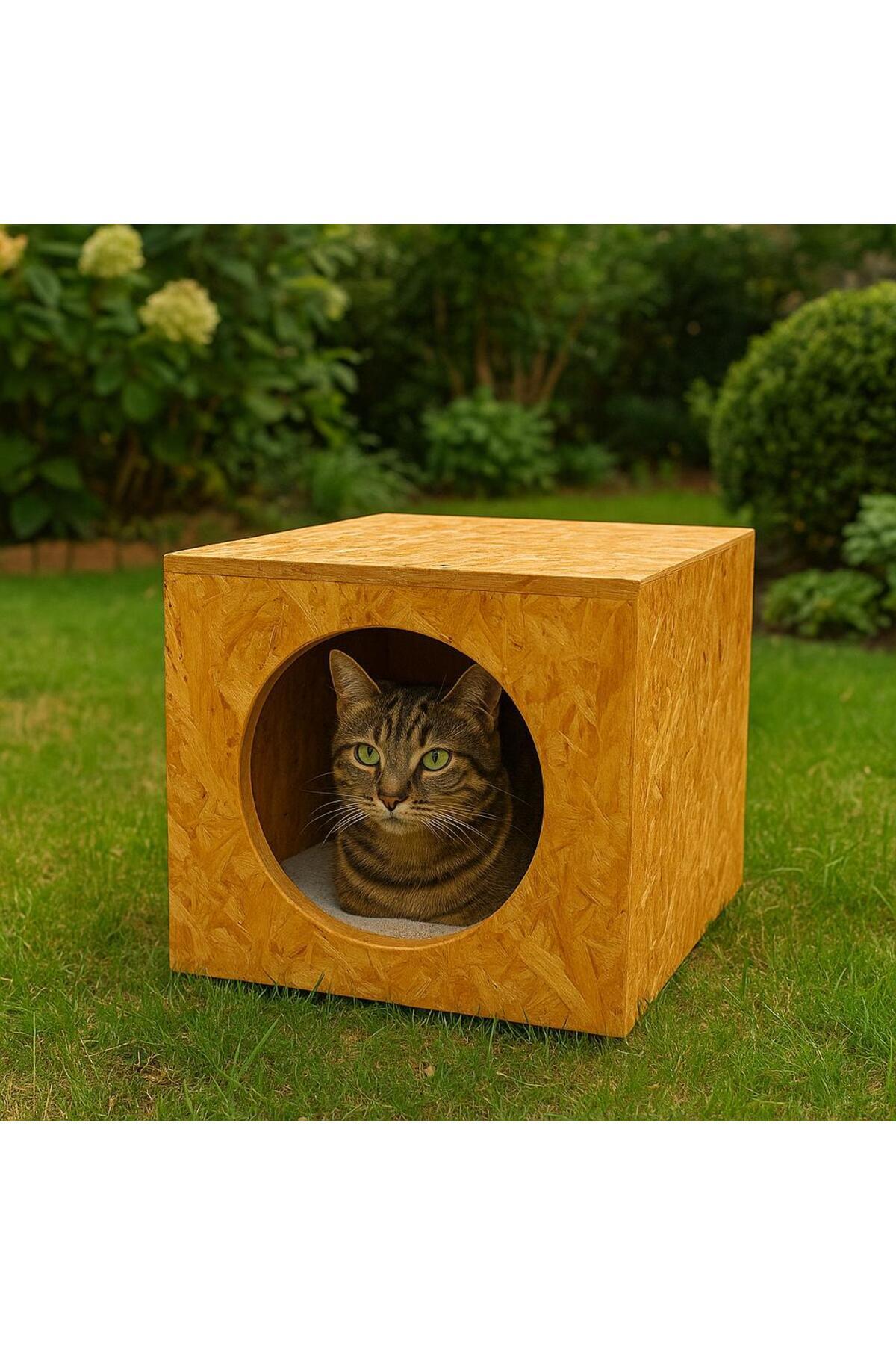 CatMozz Dış Mekan Yağmura Ve Soğuğa Dayanıklı Osb Kedi Evi
