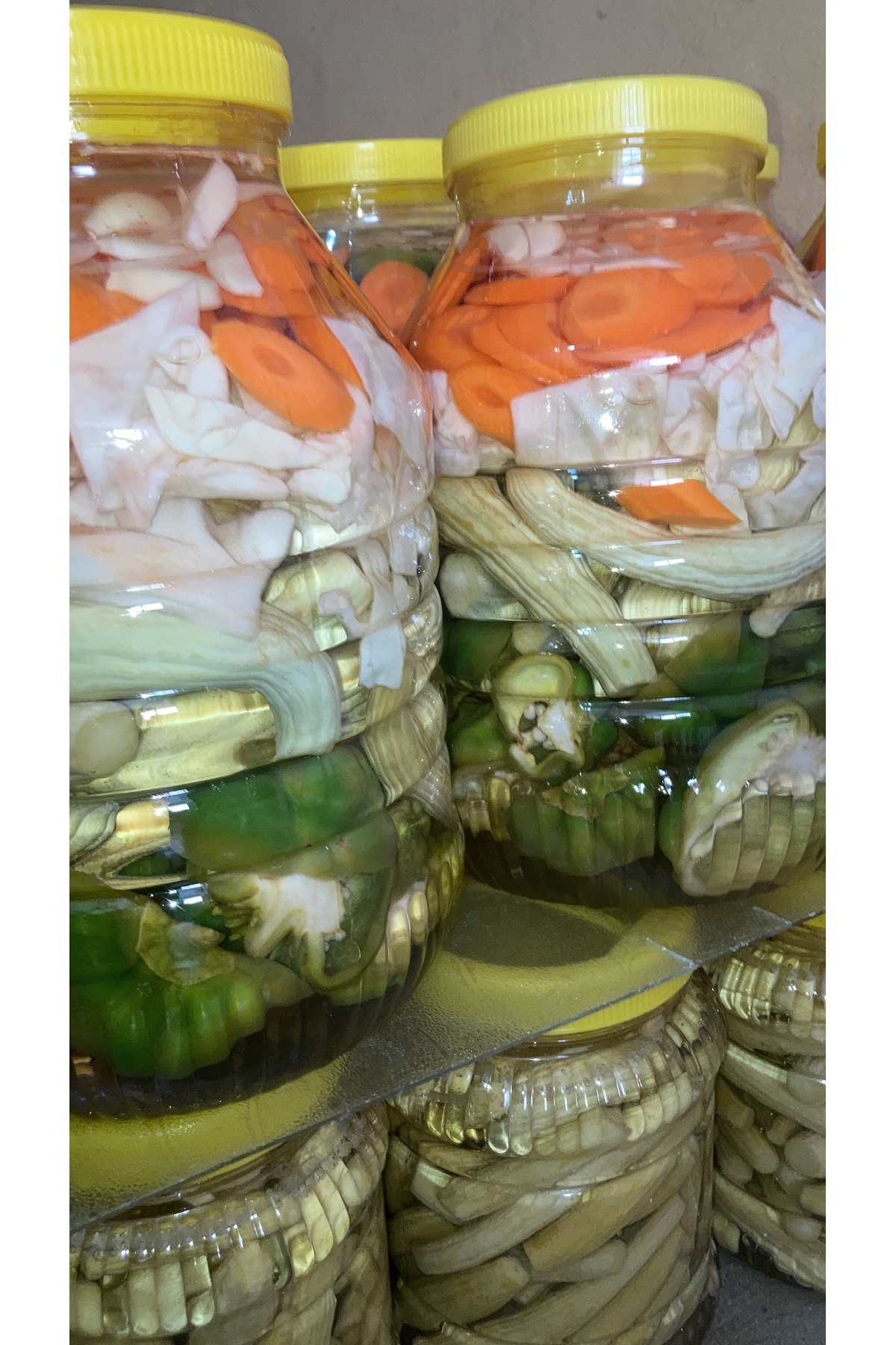 GÖNÜLDEN LEZZETLER Antep karışık turşu