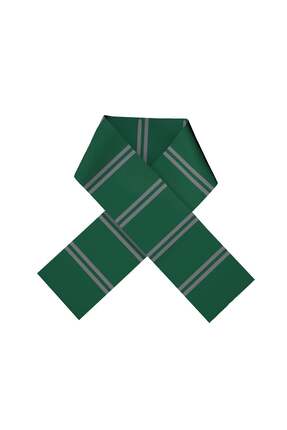 Harry Potter HOGWARTS SLYTHERIN ATKI