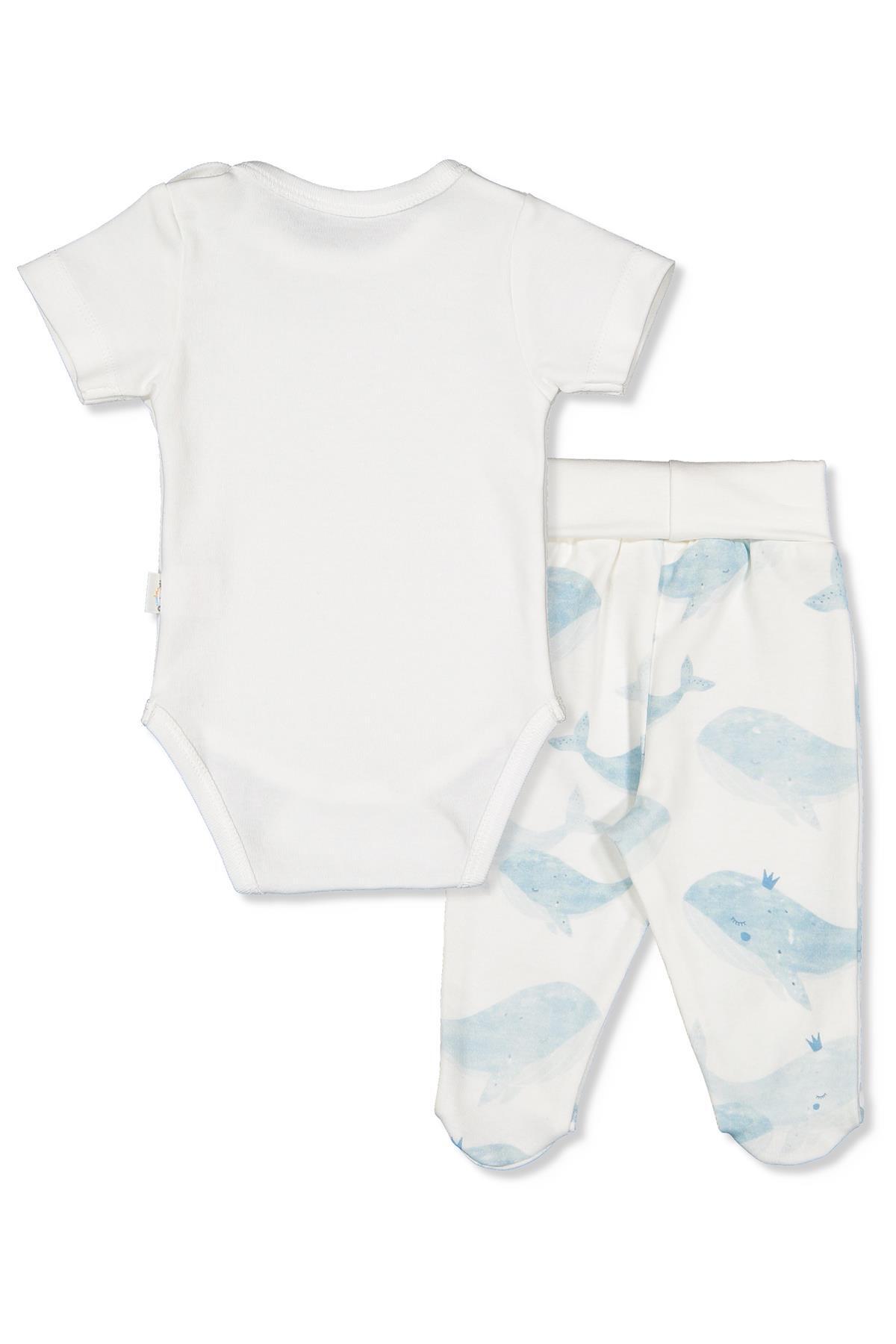 Bebetto İNTERLOK BODY SET 3LÜ (WHALES) MAVİ fotoğrafı 2 (önizleme)