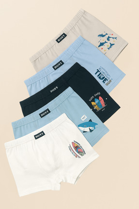 Katia & Bony Erkek Çocuk 5'li Karışık Desenli Boxer
