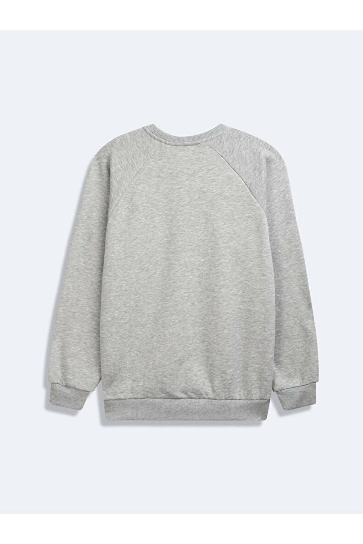 Ltb  Erkek Gri Goriba Sweatshirt 0112686085615810000-203 - Görsel 2