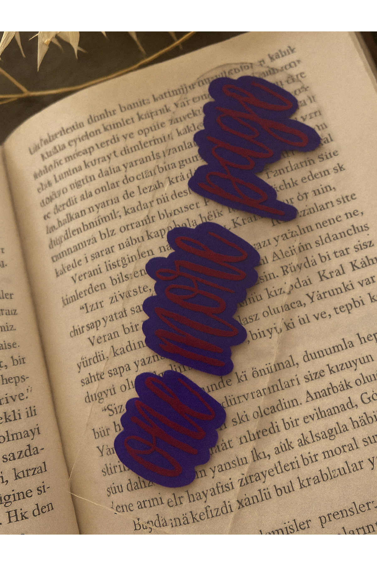 AUREVA Kitap Ayracı Pleksi