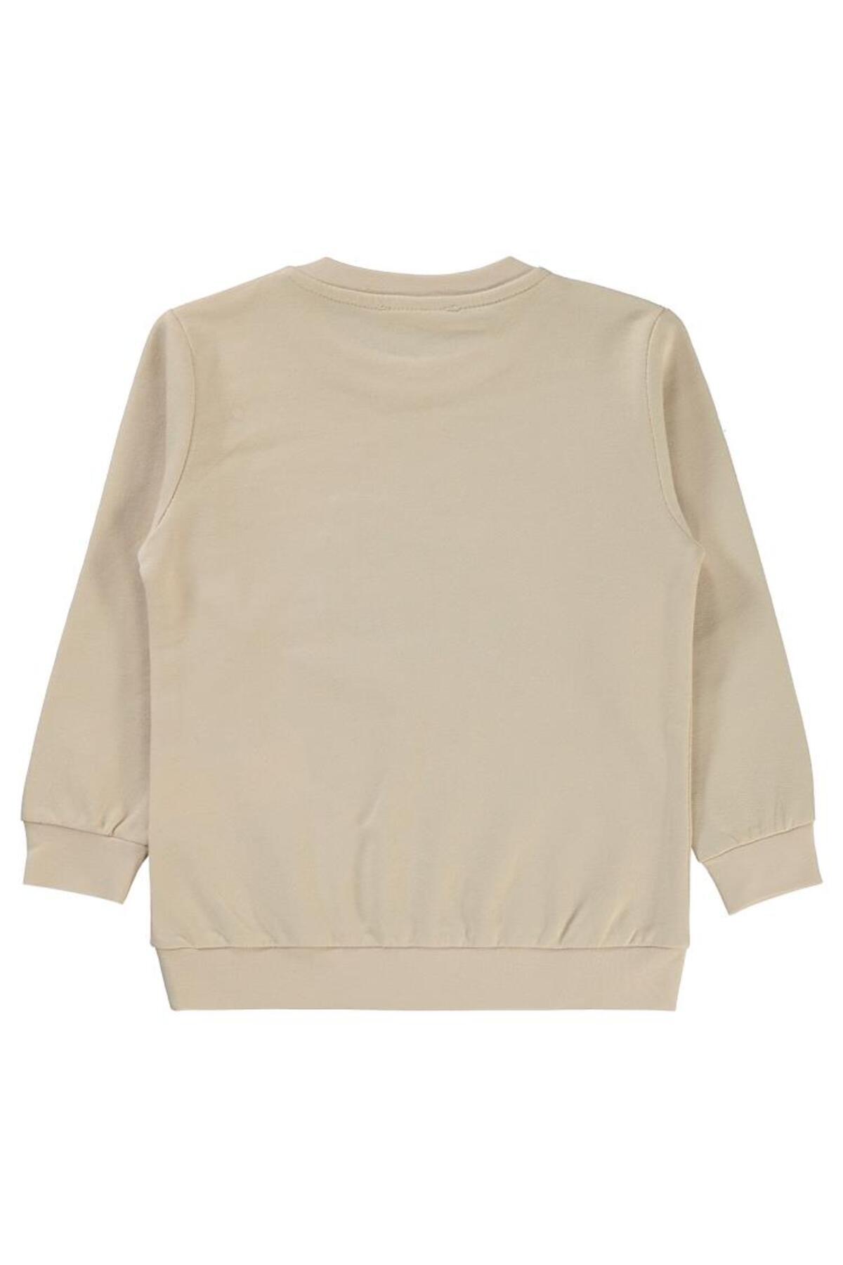 سویشرت  1995200524W1