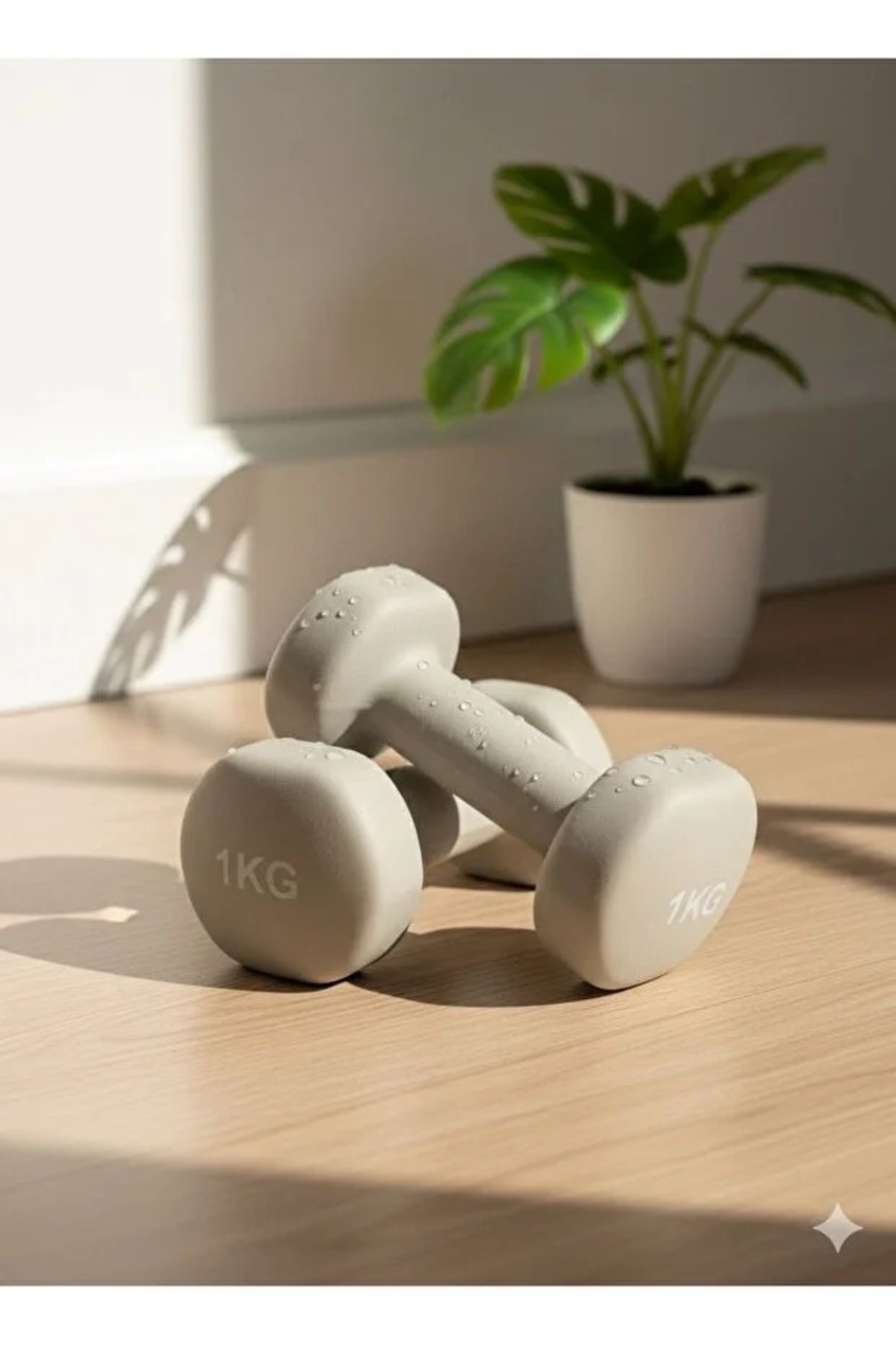 VAYNE Vinly Neoprene Kaplamalı Döküm Demir Dambıl Estetik Soft Pilates Fitness Ağırlığı 2 adet x 1 KG