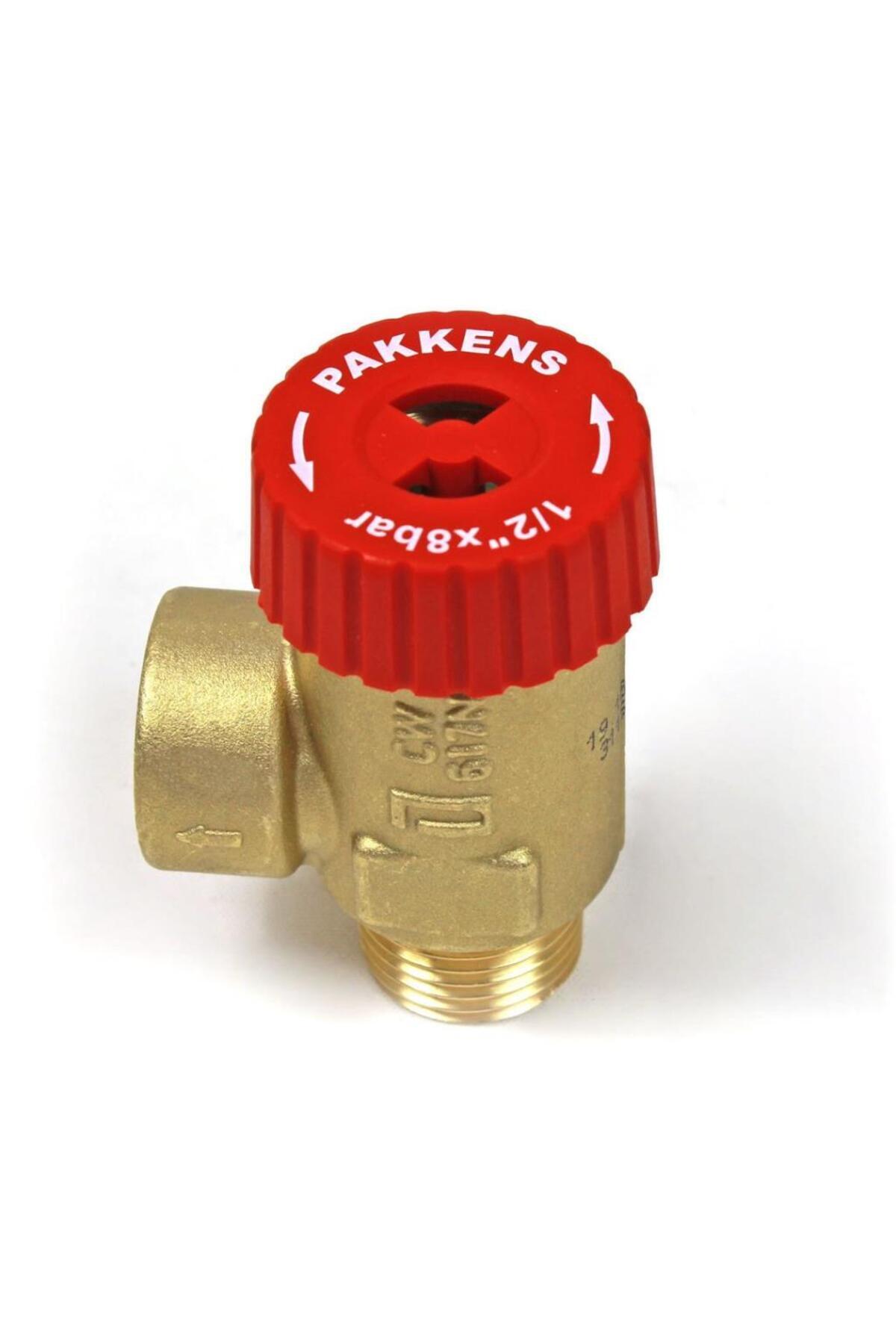 Pakkens 1/2 inch Emniyet Ventili DN15 8 Bar Erkek