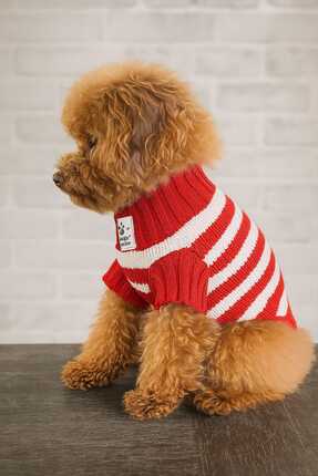 faramiss fashion SELANİK ÖRGÜ KEDİ KAZAK KÖPEK KAZAK FARAMİSSPET