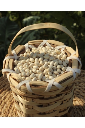 doğalından Yeni Mahsül İspir Fasulyesi 3 KİLO