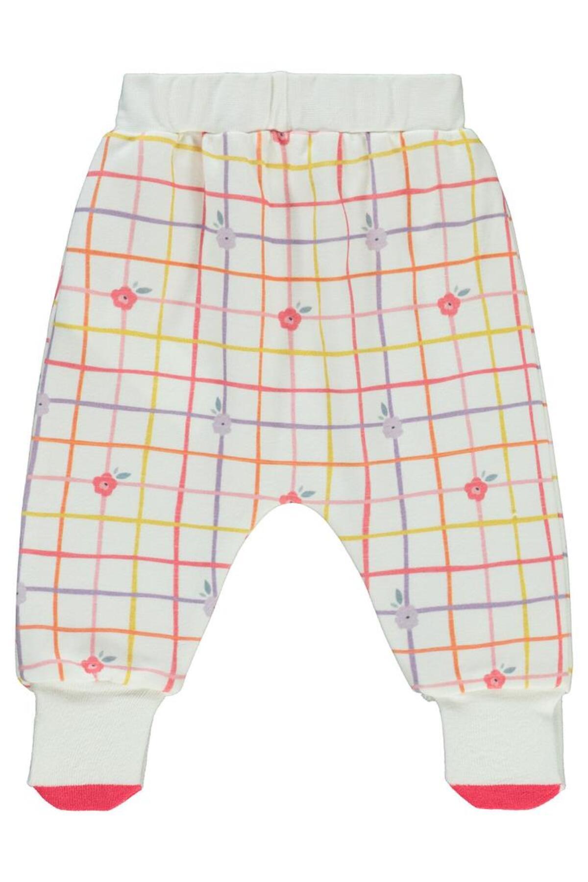 سیویل بیبی آغشته سازی قارچ 6-18 ماهه - پودر 18-24 ماهه سیویل بیبی آغشته سازی قارچ 6-18 ماهه - پودر 18-24 ماهه