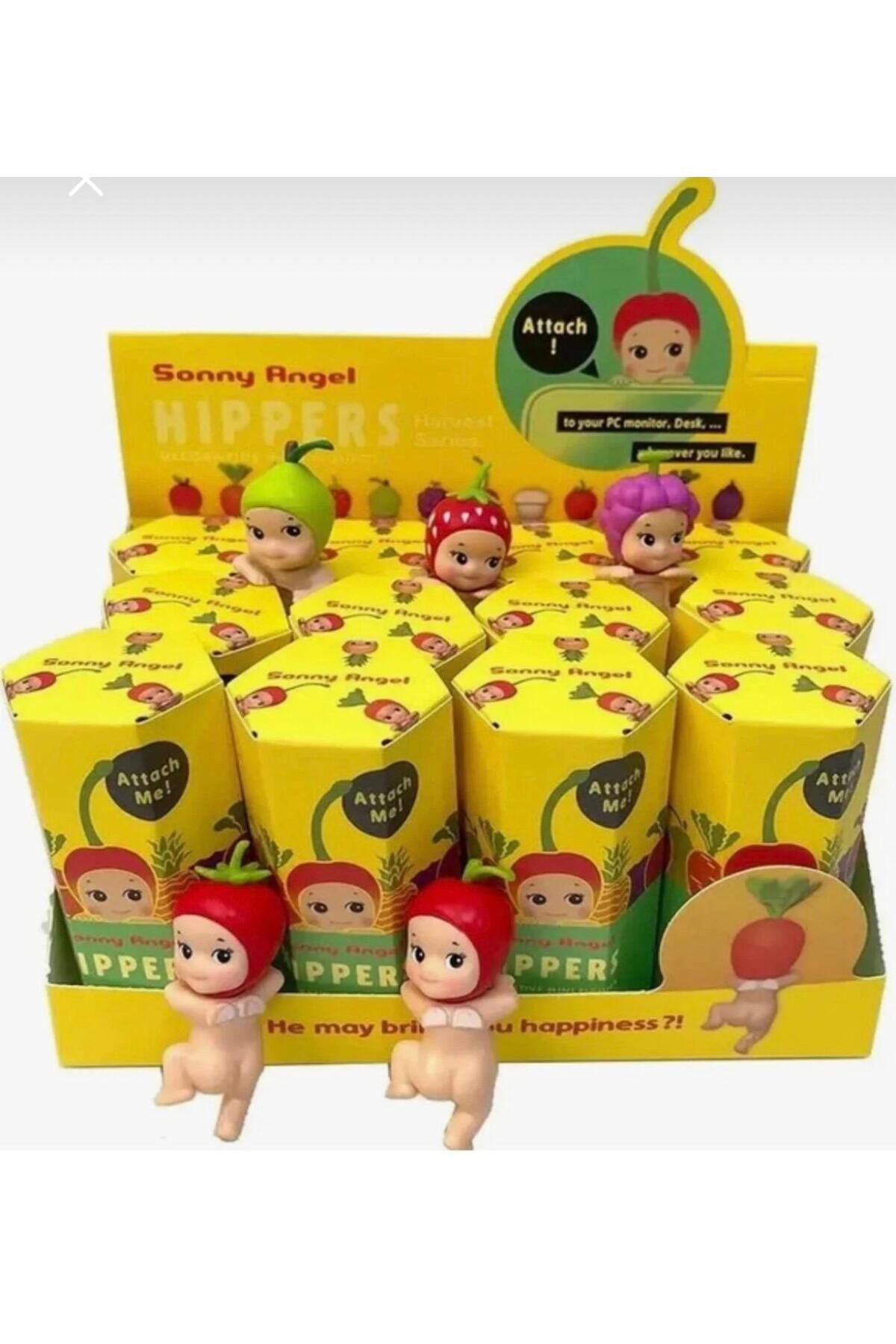 B&B Casee Sony angel hıppers