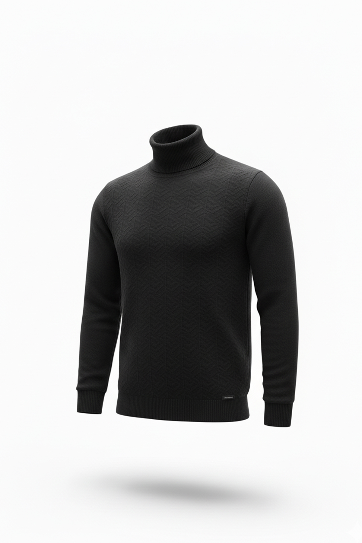 Erkek Balıkçı Yaka Regular Fit Kazak — مشکی T-208-06 — تصویر 4 از 4