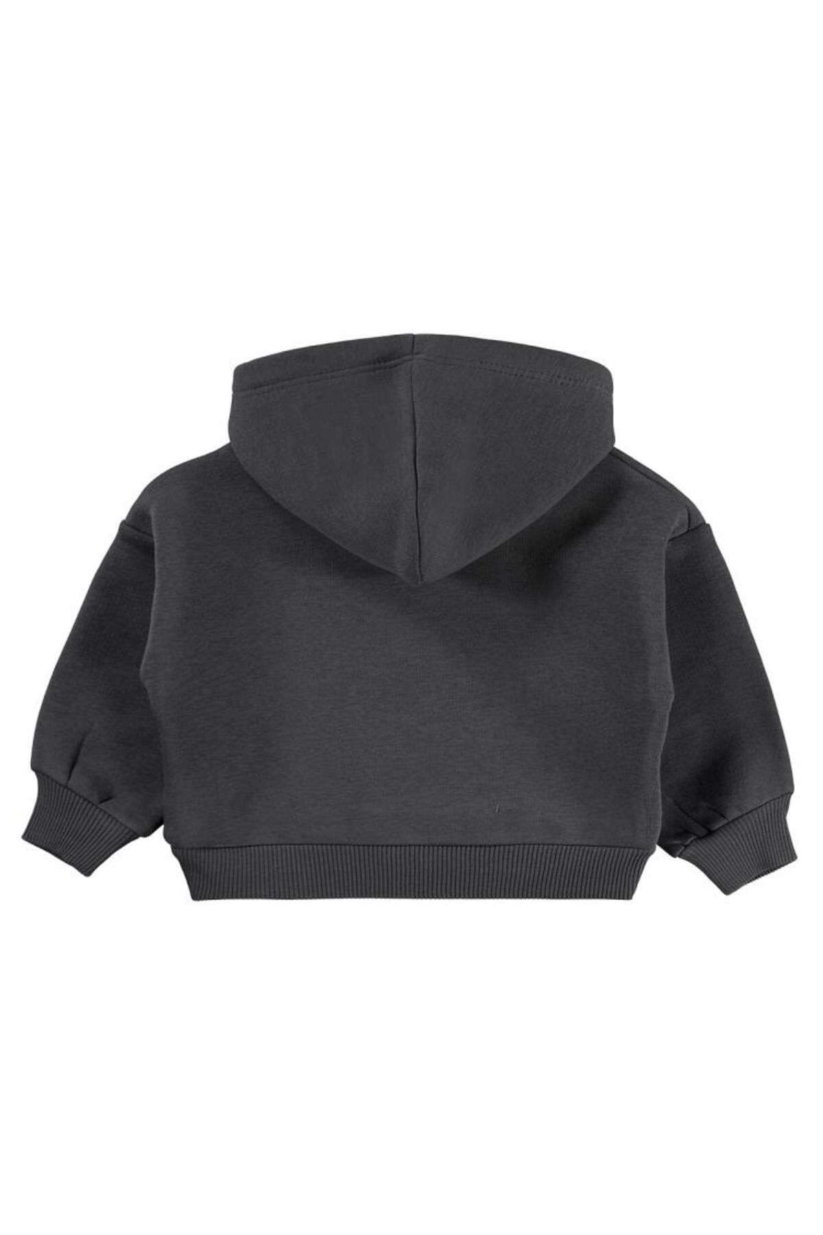 سیویل بیبی سویشرت ساده طرح قلب گلدوزی شده برای ۶ تا ۱۸ ماه - خاکستری ۱۲ تا ۱۸ ماه سیویل بیبی سویشرت ساده طرح قلب گلدوزی شده برای ۶ تا ۱۸ ماه - خاکستری ۱۲ تا ۱۸ ماه