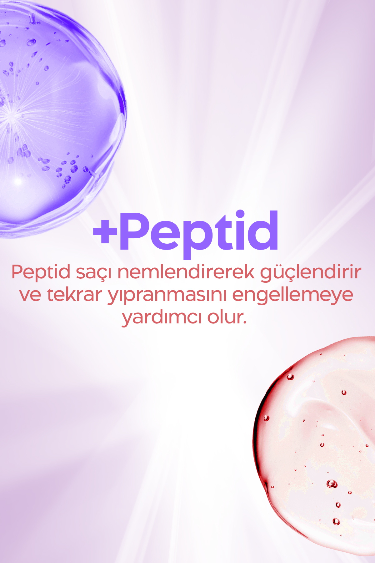 Nem Bombası Yıpranmış Saçlar İçin Yoğun Onarıcı ve Nemlendirici Saç Kremi 2x385 Ml — EVYSET369 — تصویر 3 از 6