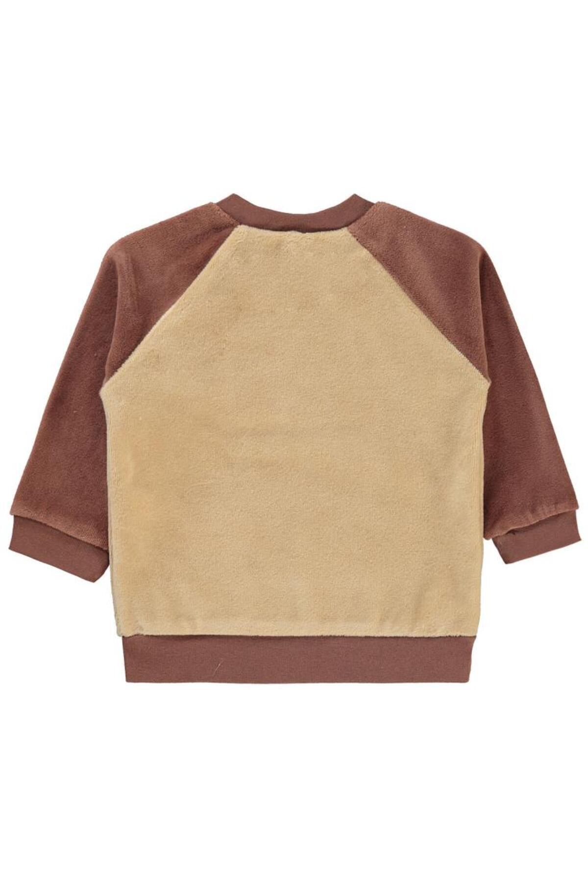 سیویل بیبی سویشرت طرح دایناسور مناسب برای ۶ تا ۱۸ ماه - قهوه‌ای ۹ تا ۱۲ ماه