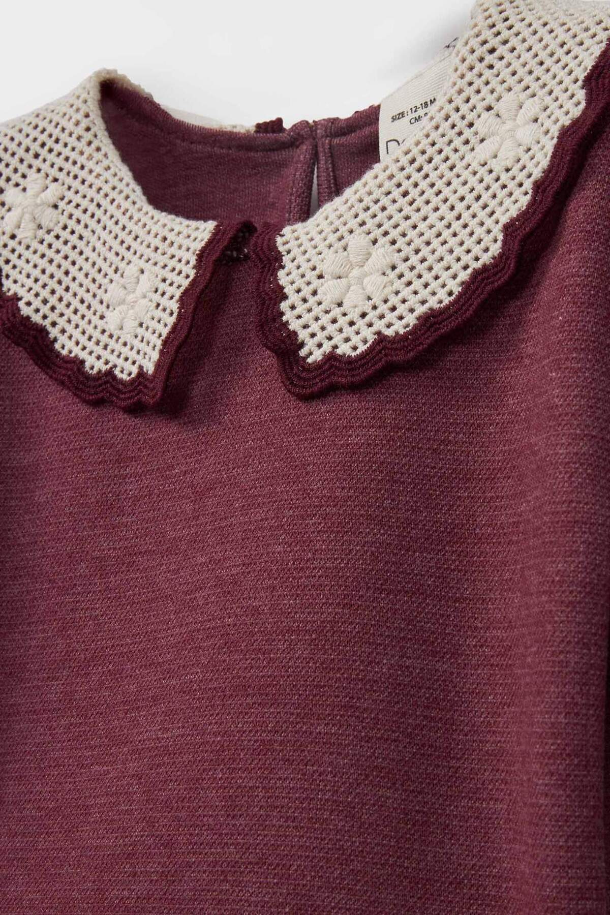 DeFacto Baby Girl Big Collar Embroidered Sweatshirt G4157A525Au