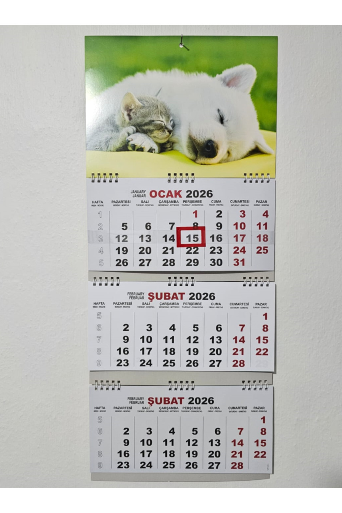 SOYLU 2026 Küçük Boy Gemici Duvar Takvimi Spiralli 27,5x65 cm