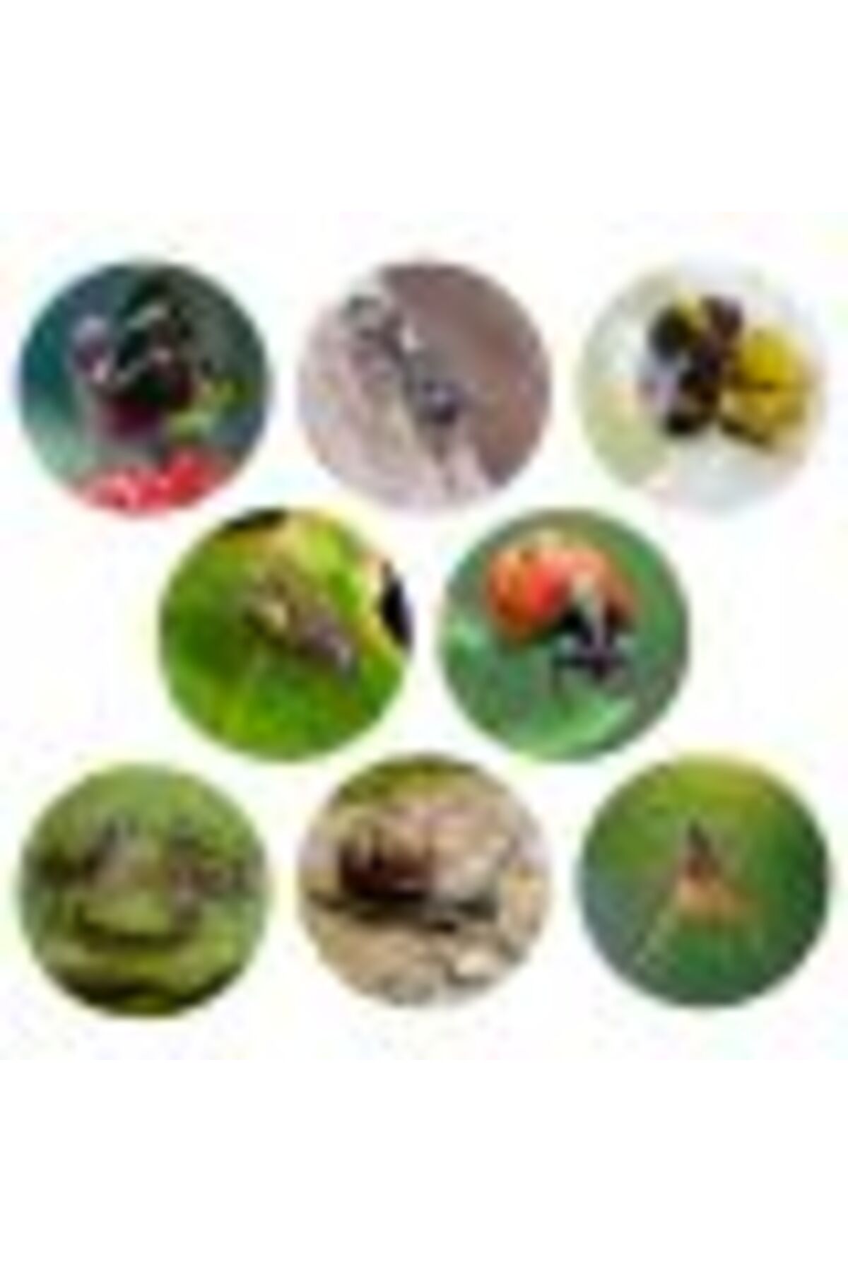 حلقههای فعالیت غولپیکر