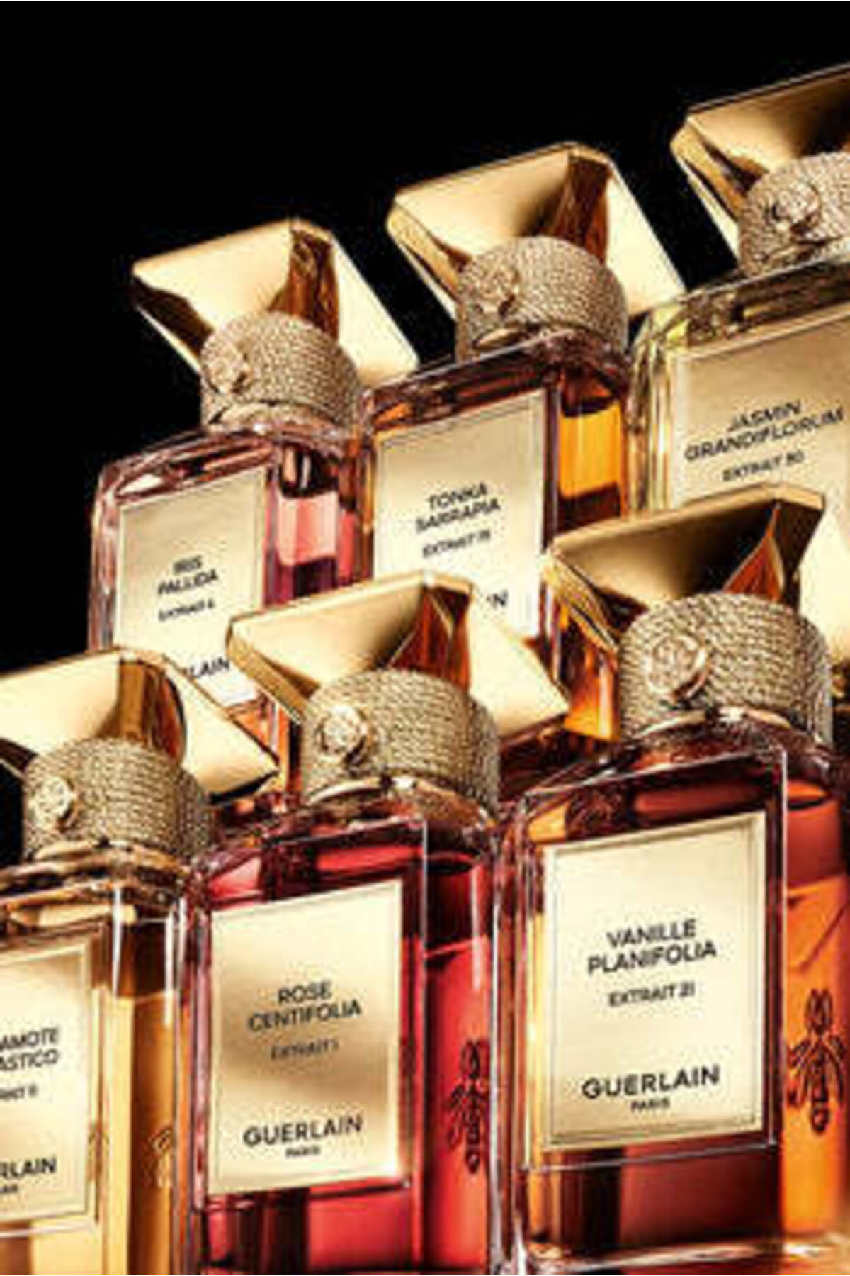 Guerlain Tonka Sarrapia Extrait 75 Parfum Extract 50ML- Trendyol
