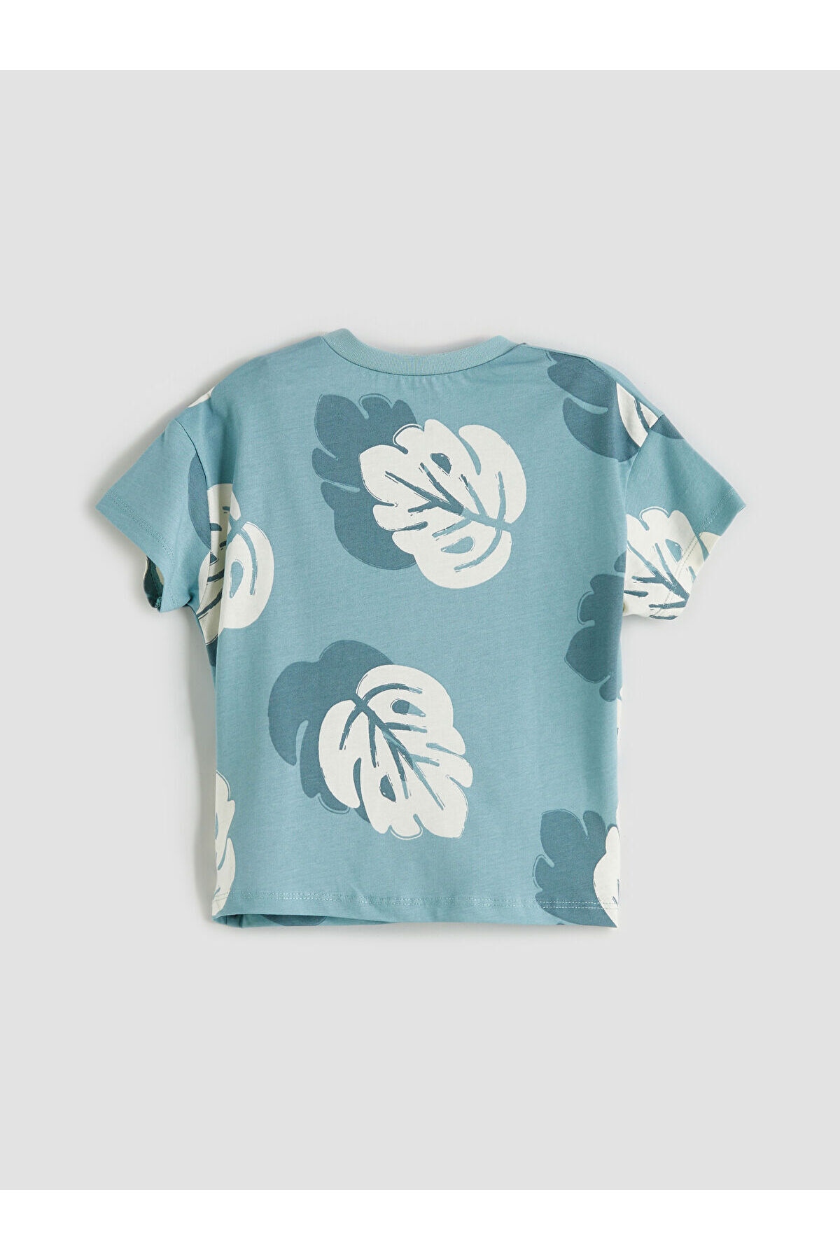 LC Waikiki M&B Collection Mavi Baskılı Erkek Bebek Tişört ve Şort 2'li fotoğrafı 7 (önizleme)