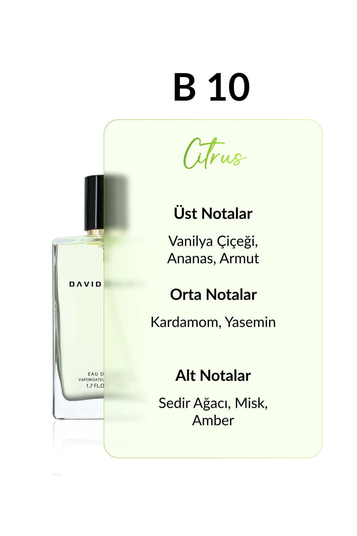 عطر زنانه | دیوید واکر David Walker B-010 DW 50 - تصویر 2