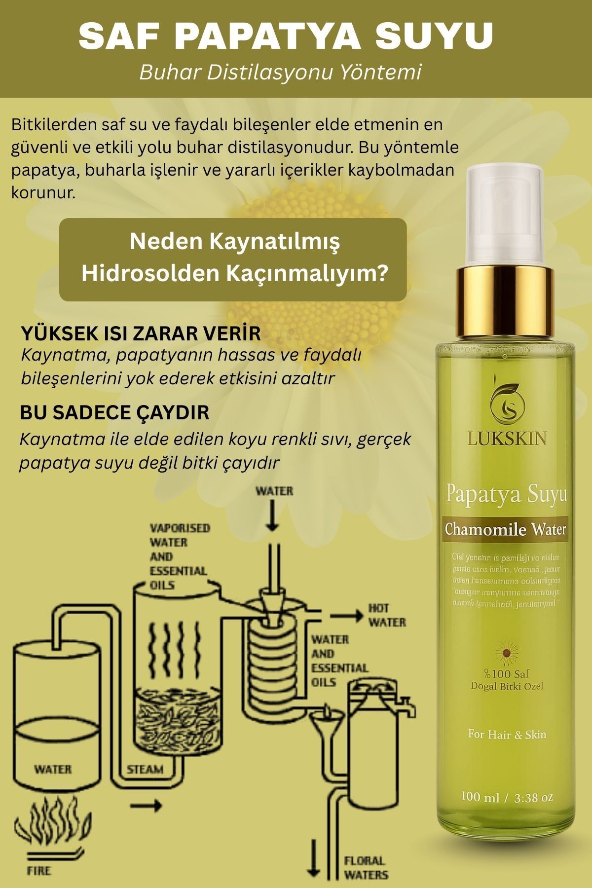 Doğal Papatya Suyu Saç Açıcı Sprey Saç Renk Açıcı Saf Saç Toniği Parlaklık Veren Tonik 3li 100 ml — 085 — تصویر 6 از 6
