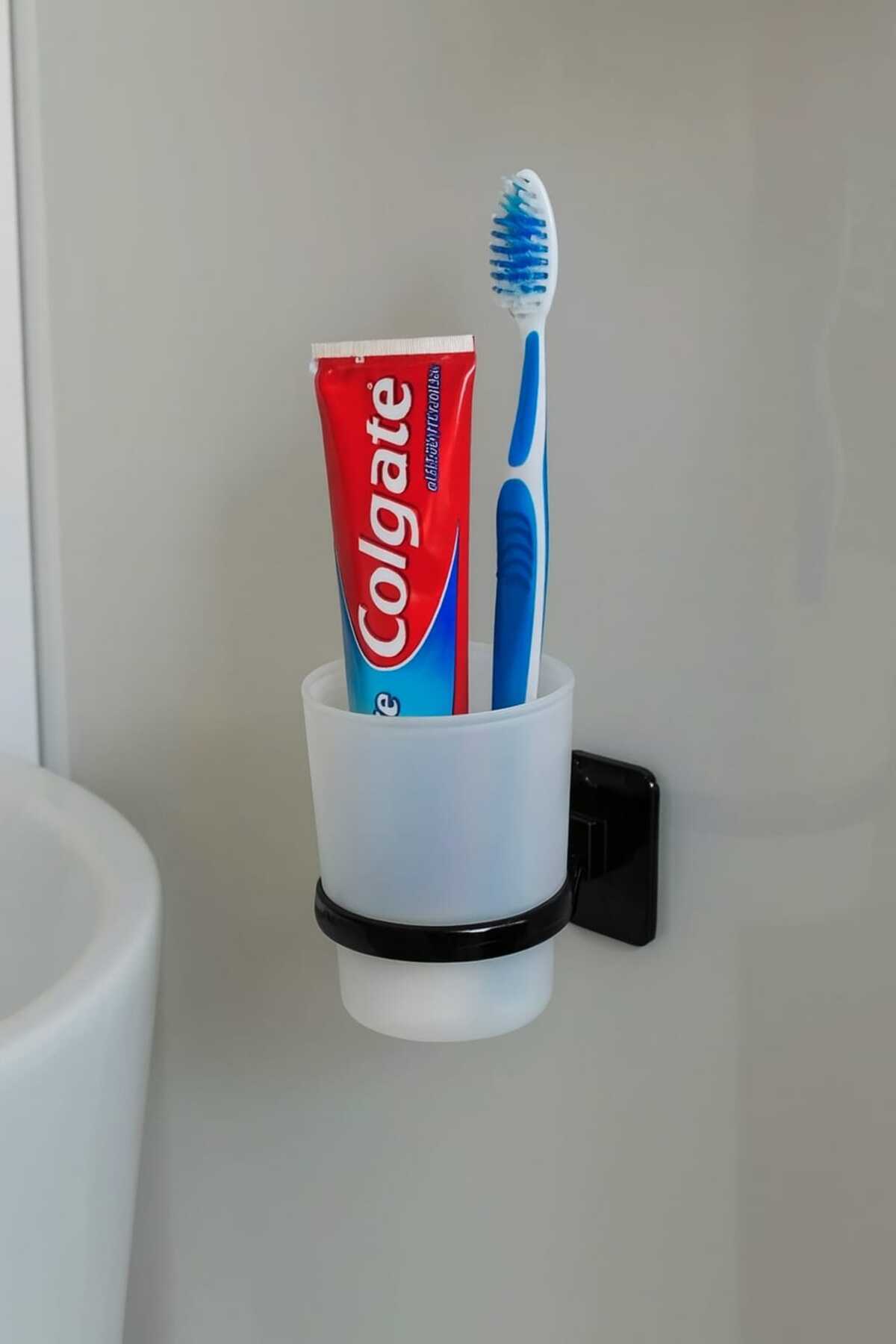 EGE HOME STORE Güçlü yapışkanlı siyah dış fırçalık dış fırçası askısı