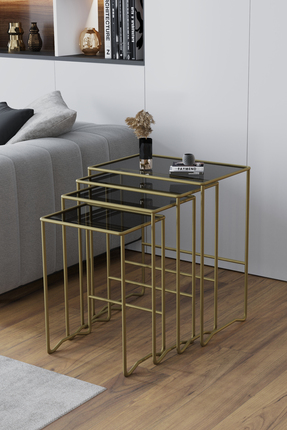 FAYMEND MİMOZA 4 lü Zigon Sehpa, Metal Sehpa, Cam Sehpa ' GOLD - FÜME'