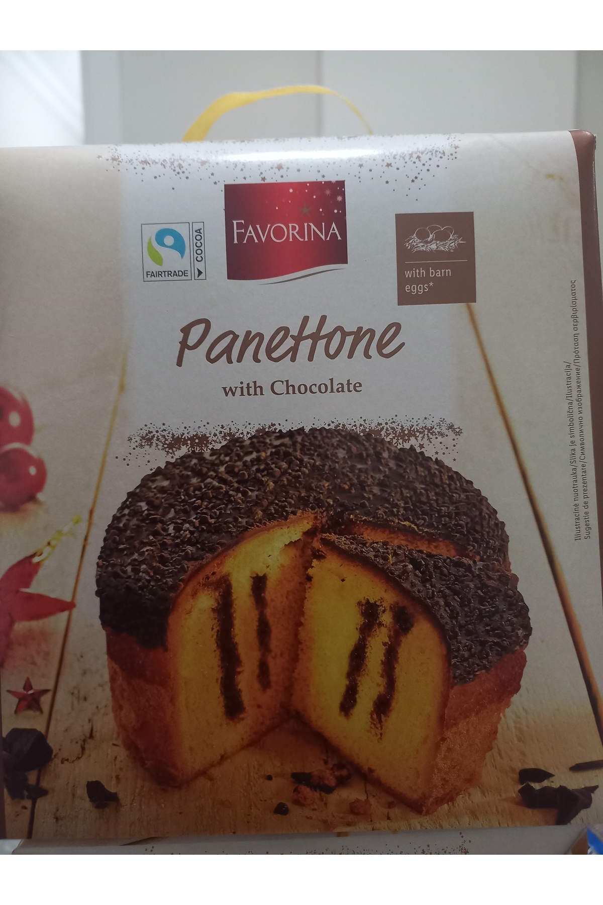 Favorina Panettone with Chocolate kek 1 KG