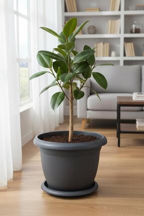 Bliss Antrasit Dekoratif Tabaklı Orta Boy Villa Saksı 14 Lt