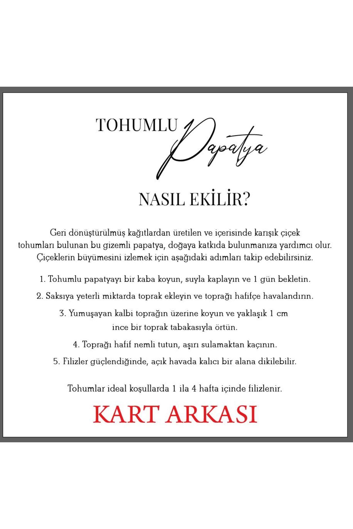 gizemli tohumlar Tohumlu Kart 50 Adet Doğum Günü ,baby Shower,hediyelik fotoğrafı 2 (önizleme)