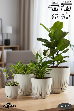 ToXA 4 Boy Tabaklı Drenaj Delikli Çizgi Saksı Seti Drenajlı Plastik Çiçek Sak...